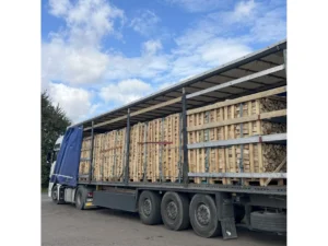 LKW Brennholz Hainbuche Buche 22 Paletten ( 44 RM ) 25 / 33cm